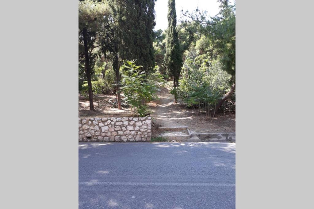 Cozy Apartment For 4 In Kolonaki, Lycabettus Atina Dış mekan fotoğraf